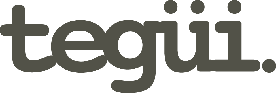 Tegui Talleres e Insumos de Bordado